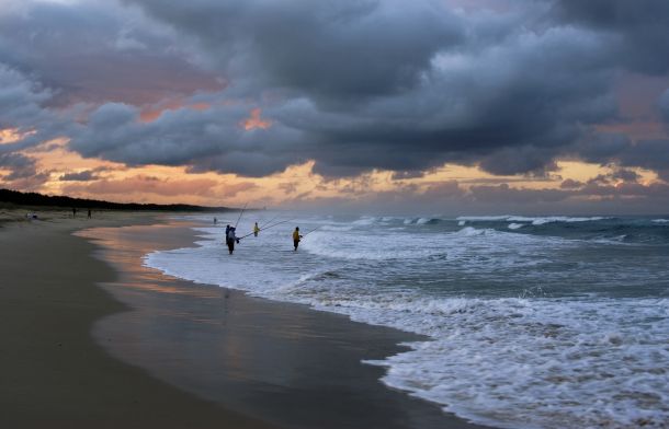 Shark fishing banned on beaches